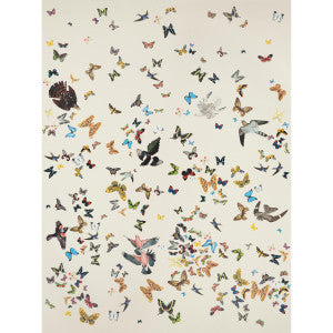 Queen'S Flight Sand 5010866 by Schumacher Wallpaper