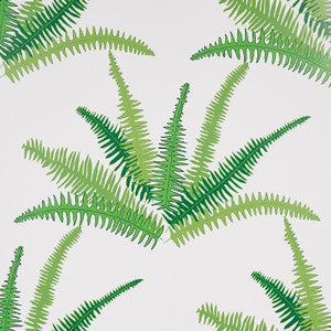 Canyon Ferns Jungle 5012621 by Schumacher Wallpaper