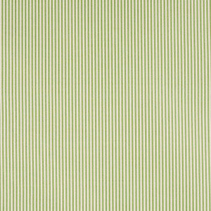 Charee Silk Stripe Green 60925 by Schumacher Fabric