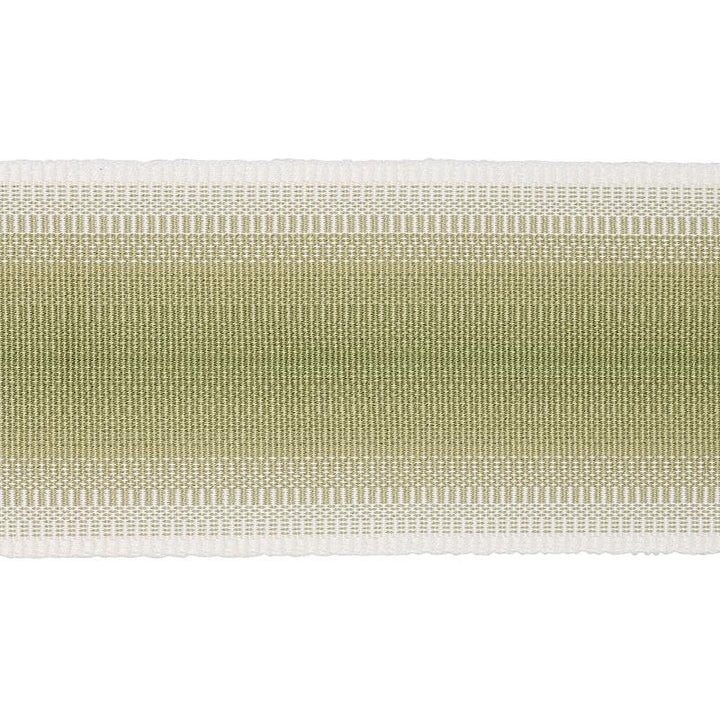 Belton Tape Green 75596 by Schumacher Trim New Traditional - Fabric Carolina -