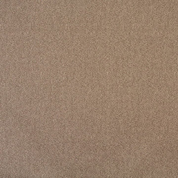 6716 Acorn by Charlotte Fabric Woven Crypton II 59% Polyester, 41% Olefin Made In USA Exceeds 200,000 Wyzenbeek Rubs (Heavy Duty) No Repeat 54 Inches - Fabric Carolina -