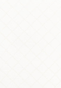 Gemma Sheer Blanc 67180 by Schumacher Fabric