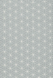 Kaleidoscope Moonstone 67211 by Schumacher Fabric