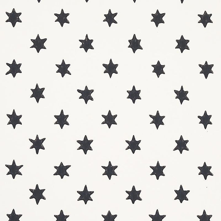 Astral Black 5013140 by Schumacher Designer Wallpaper Hobe Erwin 9.0" - Swanky Fabrics -