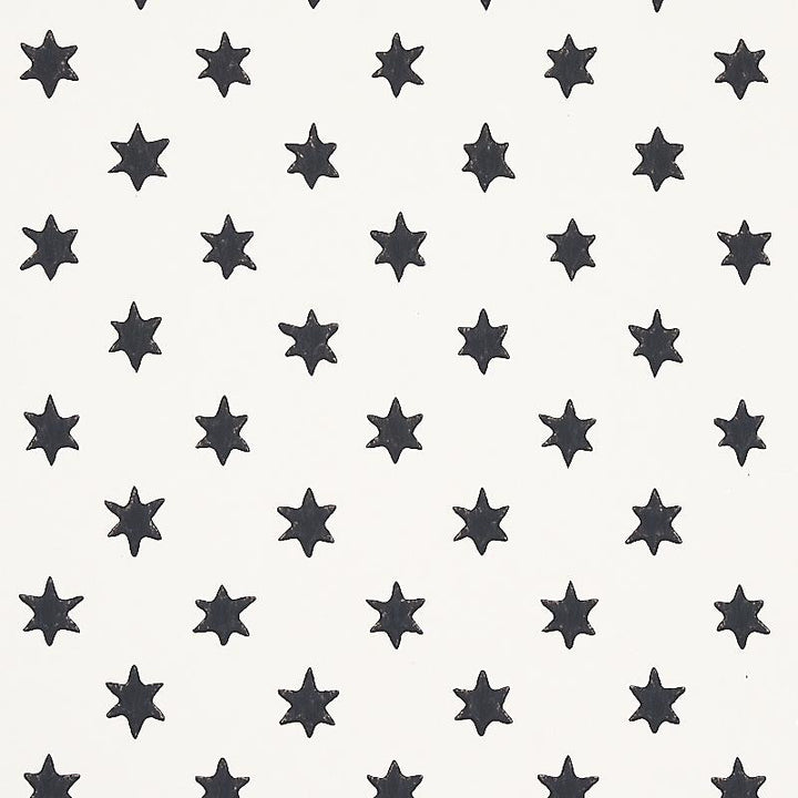 Astral Black 5013140 by Schumacher Wallpaper Hobe Erwin 9.0" - Fabric Carolina -