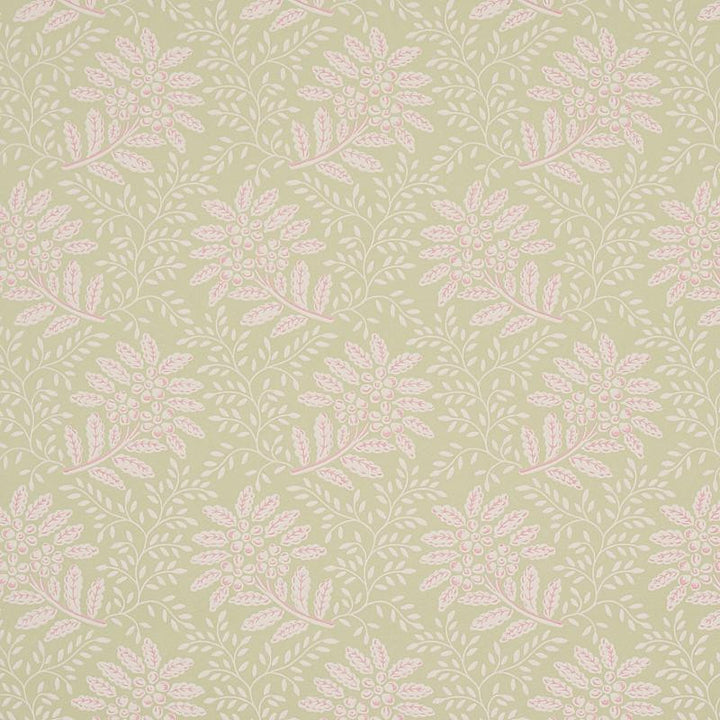 Secret Garden Green 5013170 by Schumacher Wallpaper Hobe Erwin 6.75" - Fabric Carolina -