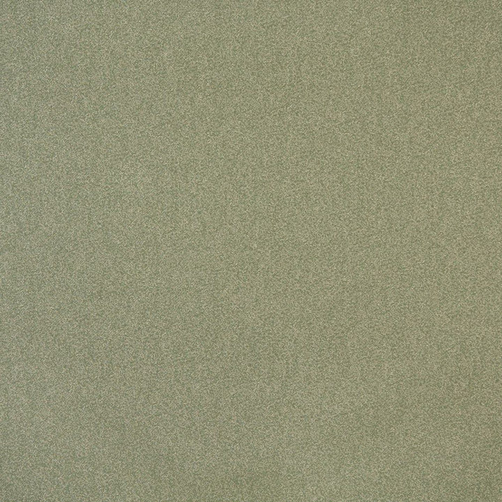 6721 Ivy by Charlotte Fabric Woven Crypton II 59% Polyester, 41% Olefin Made In USA Exceeds 200,000 Wyzenbeek Rubs (Heavy Duty) </p><p>Repeat: No Repeat 54 Inches - Fabric Carolina -