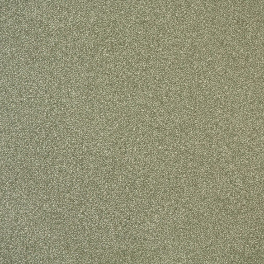 6721 Ivy by Charlotte Fabric Woven Crypton II 59% Polyester, 41% Olefin Made In USA Exceeds 200,000 Wyzenbeek Rubs (Heavy Duty) No Repeat 54 Inches - Fabric Carolina -