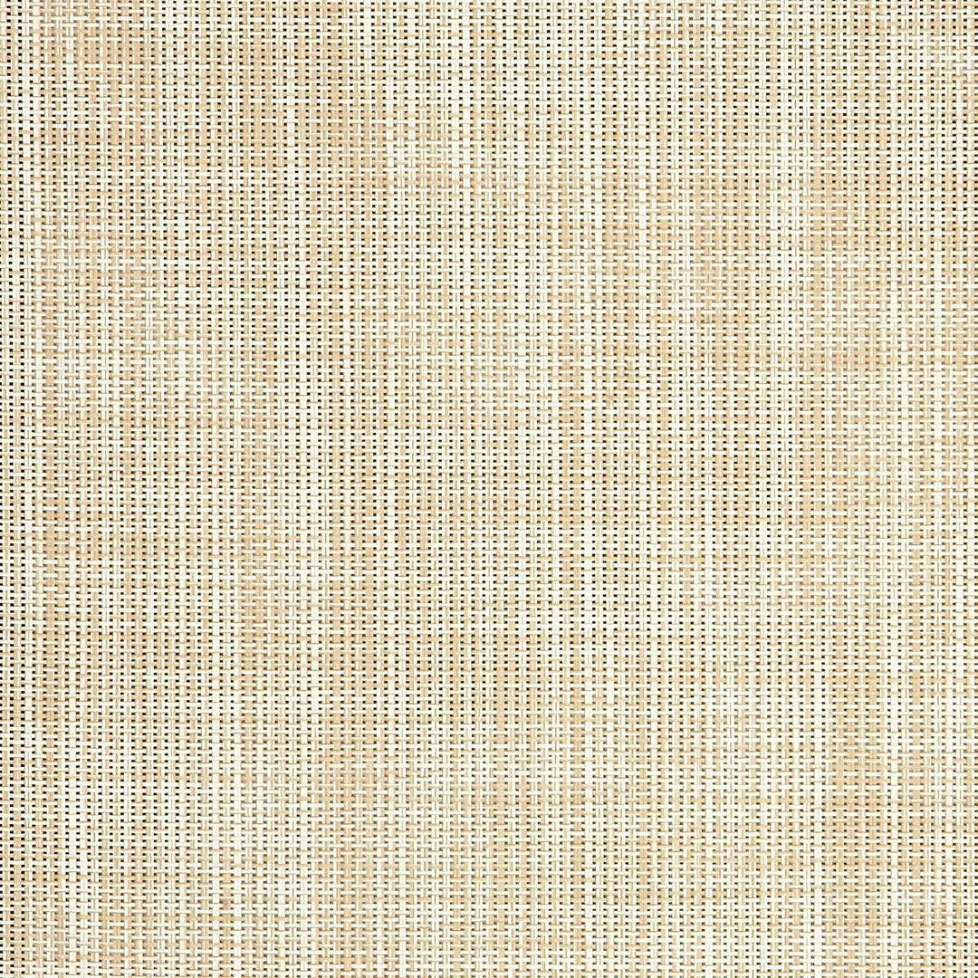6722-0003 Overlay Sand by Sunbrella Fabric