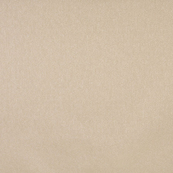 6722 Sand by Charlotte Fabric Woven Crypton II 59% Polyester, 41% Olefin Made In USA Exceeds 200,000 Wyzenbeek Rubs (Heavy Duty) No Repeat 54 Inches - Fabric Carolina -