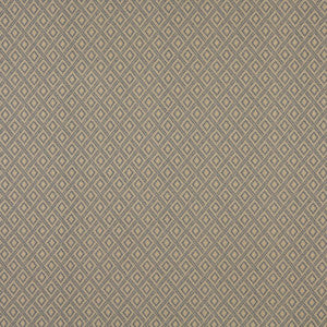6726 Denim/Diamond by Charlotte Fabric