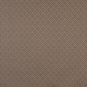6728 Acorn/Diamond by Charlotte Fabric