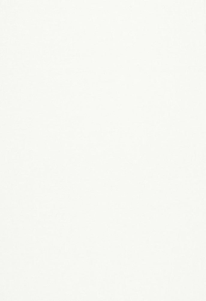 Desert Weave Blanc 67295 by Schumacher Fabric Au-Naturel 100% Linen Martindale 12,000 Horizontal: - and Vertical: - 54.25 - Fabric Carolina -