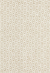 Gobi Sheer Ivoire 67310 by Schumacher Fabric