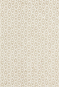 Gobi Sheer Ivoire 67310 by Schumacher Fabric