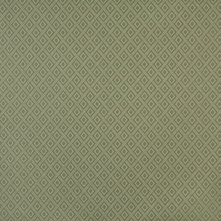 6733 Ivy/Diamond by Charlotte Fabric Woven Crypton II 57% Polyester, 43% Olefin Made In USA Exceeds 200,000 Wyzenbeek Rubs (Heavy Duty) Horizontal: 1.75" x Vertical: 1.5" 54 Inches - Fabric Carolina -