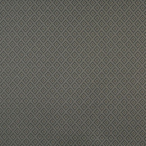 6735 Pewter/Diamond by Charlotte Fabric