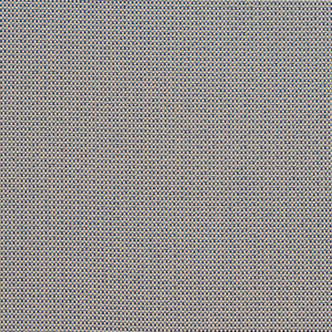 6738 Denim/Dot by Charlotte Fabric