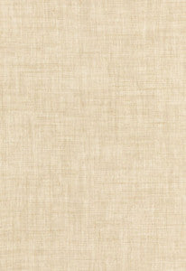 Himalaya Wool Sheer Linen 67440 by Schumacher Fabric