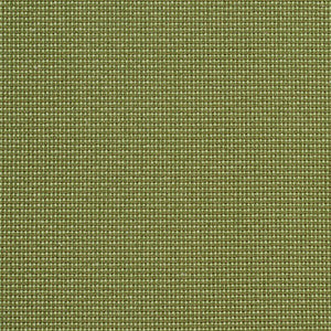 6745 Ivy/Dot by Charlotte Fabric