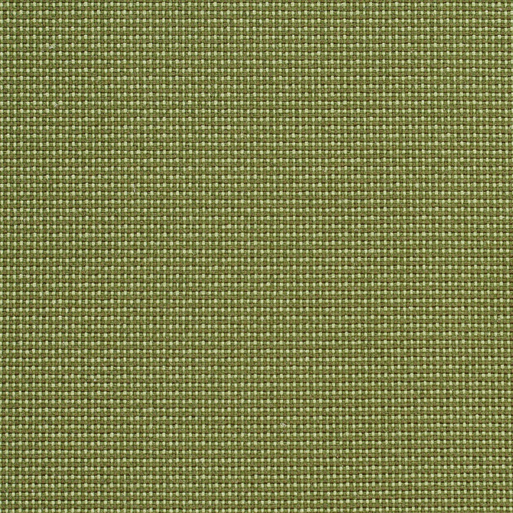 6745 Ivy/Dot by Charlotte Fabric Woven Crypton II 59% Polyester, 41% Olefin Made In USA Exceeds 200,000 Wyzenbeek Rubs (Heavy Duty) </p><p>Repeat: No Repeat 54 Inches - Fabric Carolina -