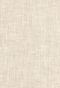 Alpine Sheer Stone 67460 by Schumacher Fabric