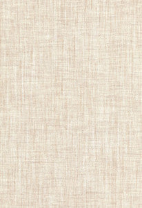 Alpine Sheer Stone 67460 by Schumacher Fabric