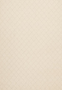 Archipelago Flax 67470 by Schumacher Fabric