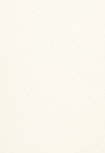 Archipelago Ivorie 67471 by Schumacher Fabric