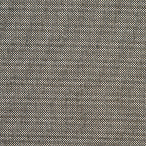 6747 Pewter/Dot by Charlotte Fabric