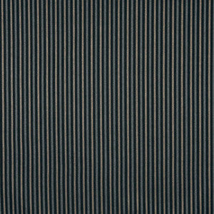 6748 Onyx/Stripe by Charlotte Fabric