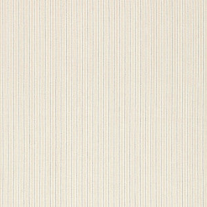Rain Shadow Stripe Oat 67500 by Schumacher Fabric