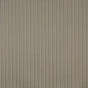 6750 Denim/Stripe by Charlotte Fabric