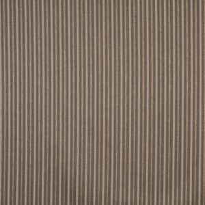 6752 Acorn/Stripe by Charlotte Fabric