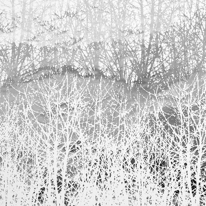 Birches Silver 2707244 by Schumacher Wallpaper Modern Nature 13.5" - Fabric Carolina -