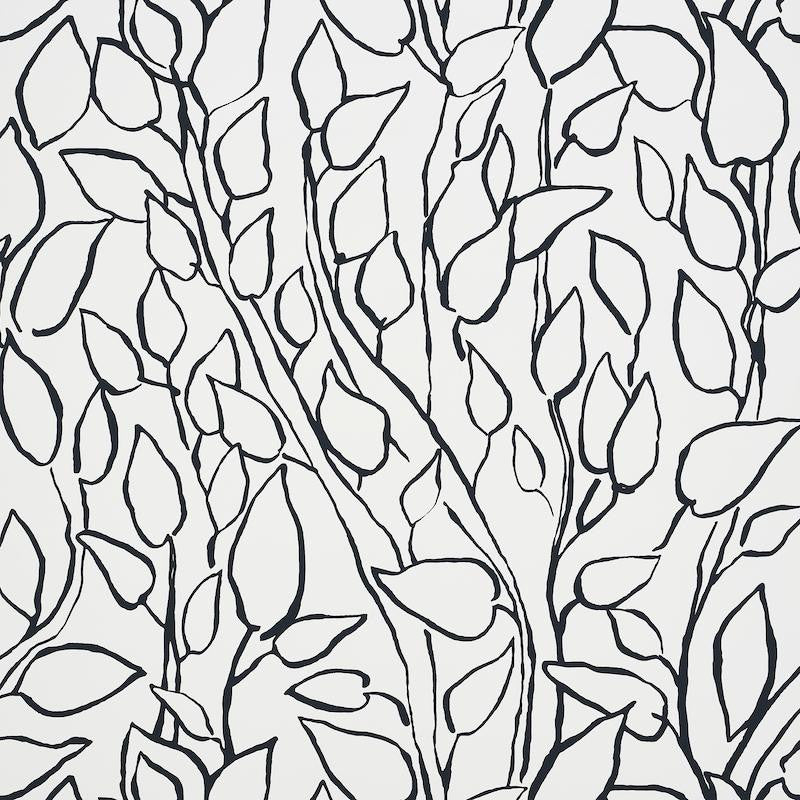 Solandra Vine Black 5010071 by Schumacher Wallpaper Freehand 26.75" - Fabric Carolina -