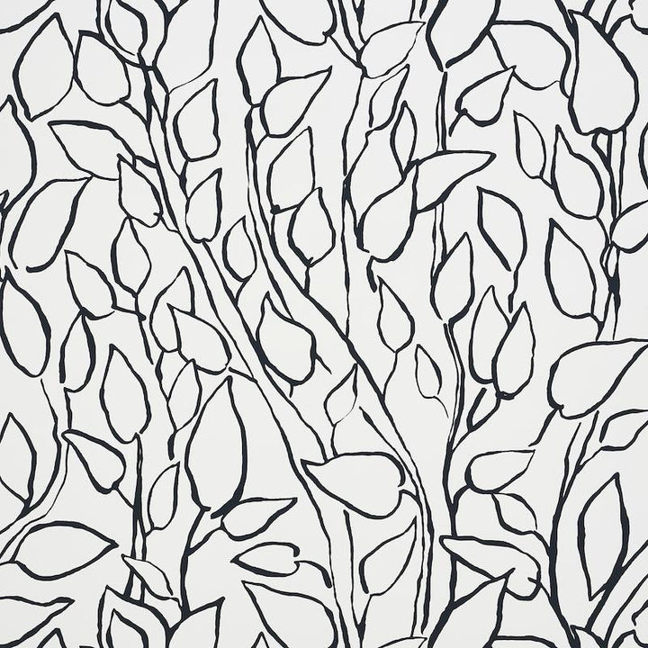 Solandra Vine Black 5010071 by Schumacher Wallpaper Freehand 26.75" - Fabric Carolina -