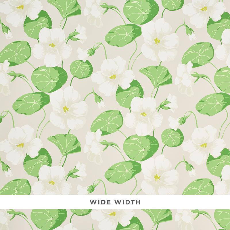Nasturtium Stone 5010472 by Schumacher Wallpaper Signature Schumacher 36.0" - Fabric Carolina -