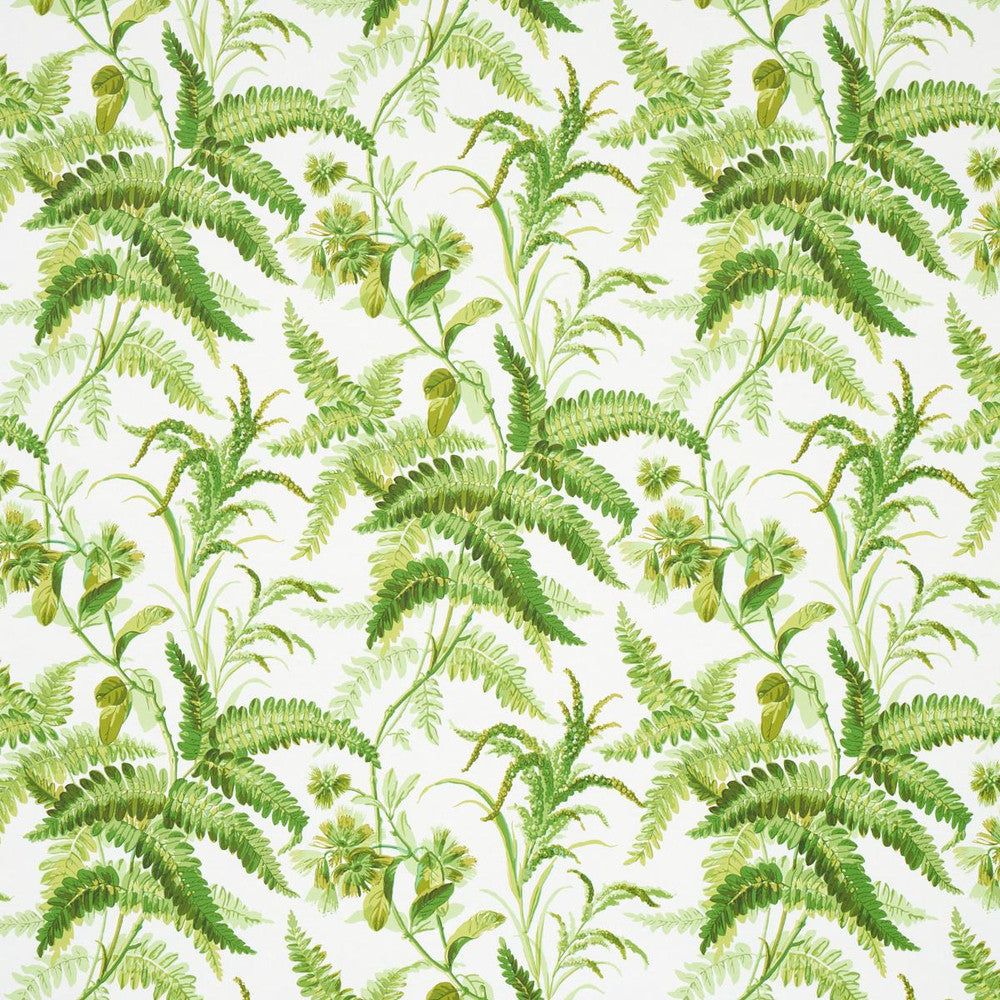 Myers Fern Tropical 5013231 by Schumacher Wallpaper Schumacher Classics 54.5" - Fabric Carolina -