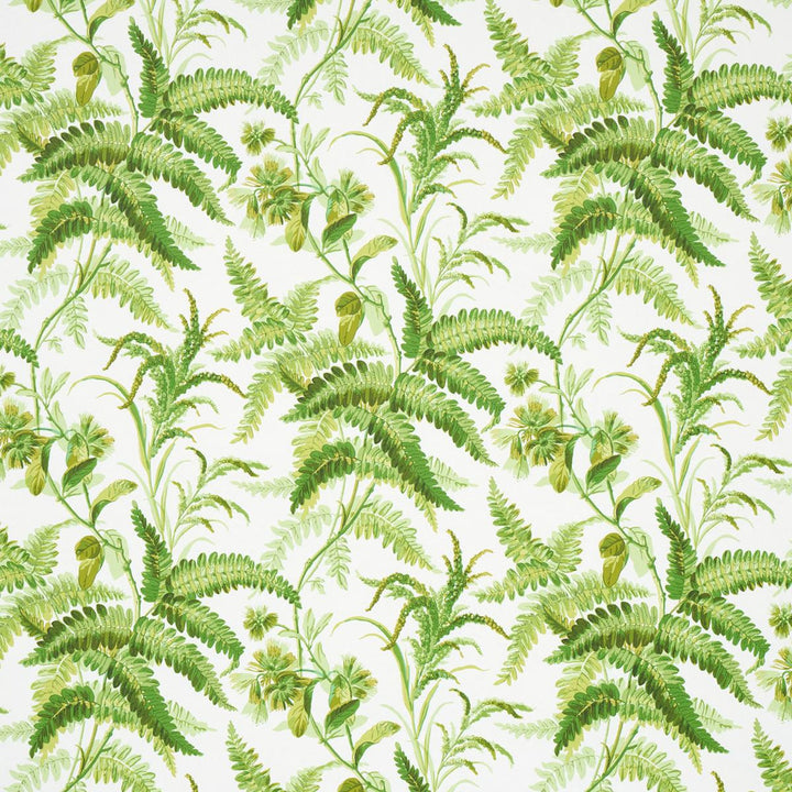 Myers Fern Tropical 5013231 by Schumacher Wallpaper Schumacher Classics 54.5" - Fabric Carolina -