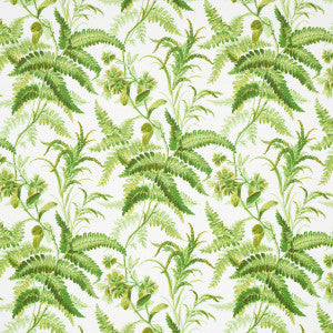 Myers Fern Tropical 5013231 by Schumacher Wallpaper