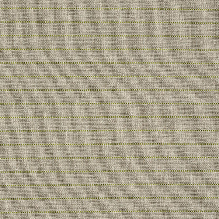 Manning Stripe Indoor/Outdoor Lime 71813 by Schumacher Fabric Indoor/Outdoor Recolors - Fabric Carolina -