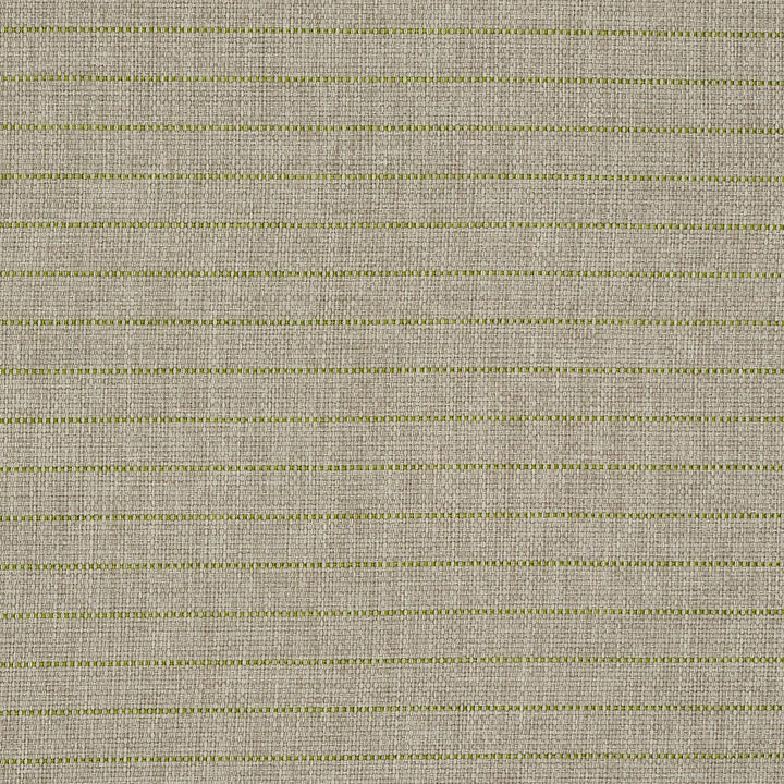 Manning Stripe Indoor/Outdoor Lime 71813 by Schumacher Designer Fabric Indoor/Outdoor Recolors - Swanky Fabrics -