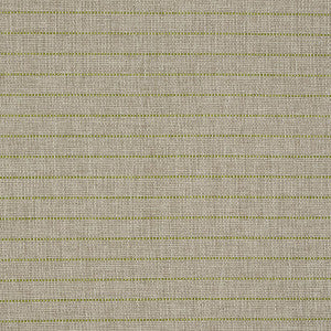 Manning Stripe Indoor/Outdoor Lime 71813 by Schumacher Fabric