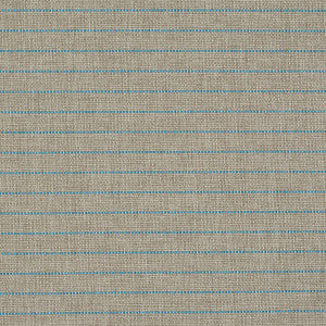 Manning Stripe Indoor/Outdoor Aqua 71814 by Schumacher Fabric