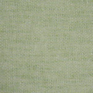 Camarillo Weave Indoor/Outdoor Leaf 73876 by Schumacher Fabric