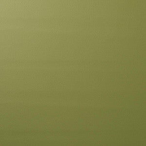 Vegan Leather Indoor/Outdoor Moss 80907 by Schumacher Fabric