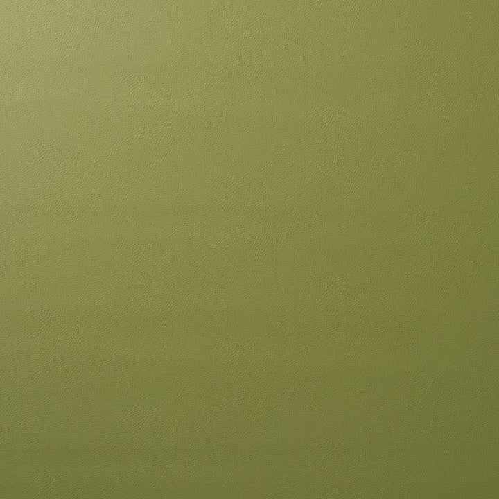 Vegan Leather Indoor/Outdoor Moss 80907 by Schumacher Fabric Perfect Basics: Vegan Leather & Suede - Fabric Carolina -