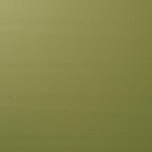 Vegan Leather Indoor/Outdoor Moss 80907 by Schumacher Fabric
