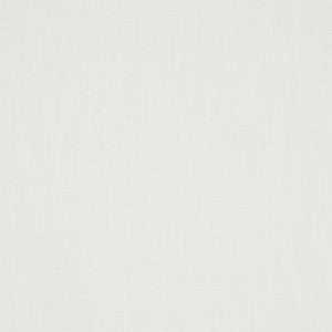 Dean Indoor/Outdoor Ivory 81122 by Schumacher Fabric